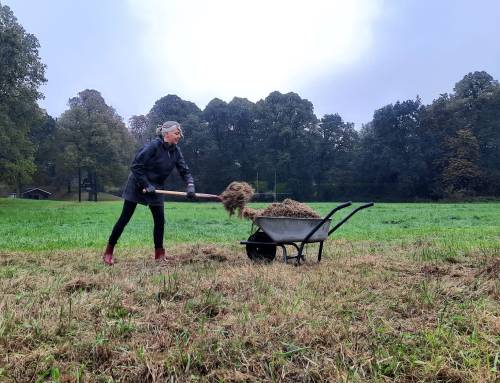 Natuurwerkdag 2024 op zaterdag 2 november