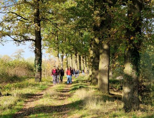 Verslag paddenstoelencursus Amelisweerd, Fort bij Vechten en Fort bij Rijnauwen